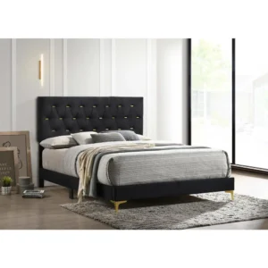 Kendall Upholstered Queen Panel Bed Black